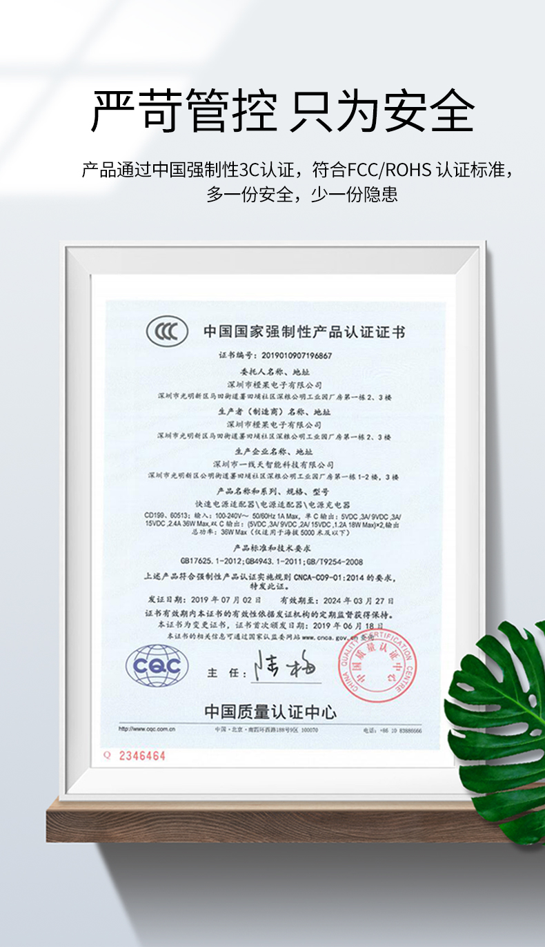 绿联双type-c快充充电器